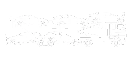 8. TRANSPORTADOR